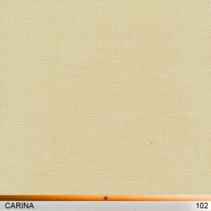 carina102-copy