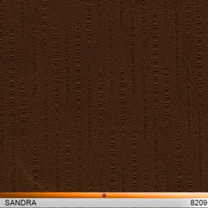 sandra8209-copy